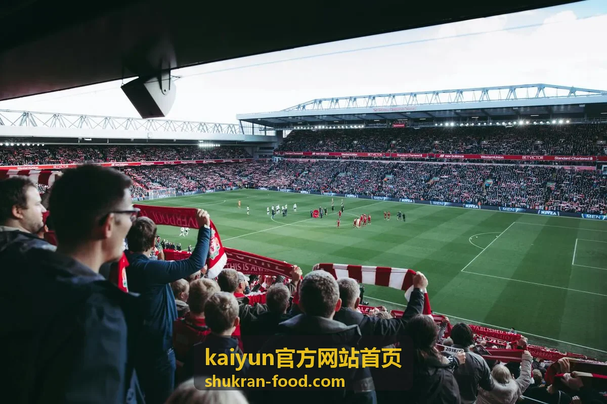 kaiyun新手礼包封面